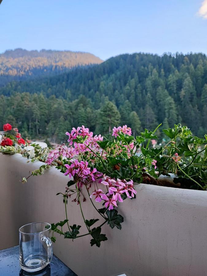 Indian Backpackers Hostel Manāli Zewnętrze zdjęcie