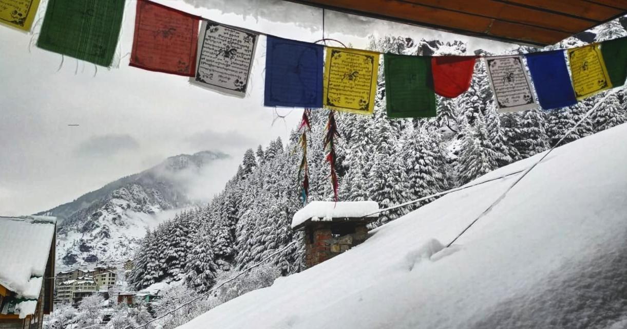 Indian Backpackers Hostel Manāli Zewnętrze zdjęcie